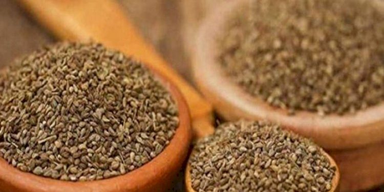 શું તમે અજમાના આ ફાયદાઓ વિષે જાણો છો..?