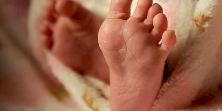 કડકડતી ઠંડીમાં અજાણી મહિલાએ નવજાત બાળકને ત્યજી દીધું