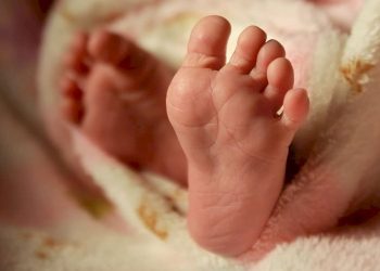 રાજ્યમાં જન્મ લેતાની સાથે રોજ 18થી વધુ બાળકો મૃત્યુ પામે છે..