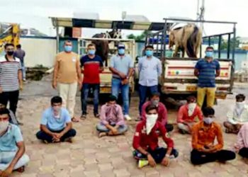 ઘોડાની રેસ પર જુગાર, જીતે તે અસ્વારને 7000