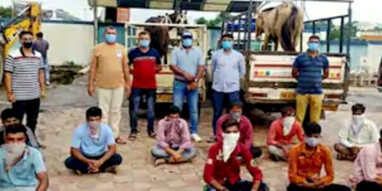 ઘોડાની રેસ પર જુગાર, જીતે તે અસ્વારને 7000