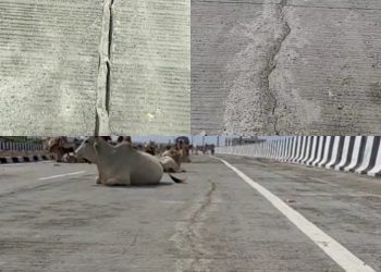 પુલનું લોકાર્પણ થાય તે પહેલા જ તિરાડો…