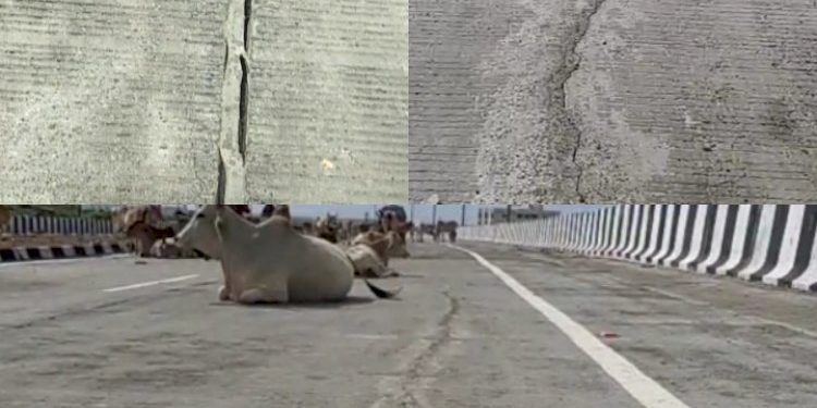 પુલનું લોકાર્પણ થાય તે પહેલા જ તિરાડો…