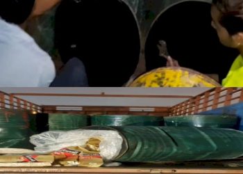 દારુ ઘુસાડવાની આ તરકીબ જોઈ એક તબક્કે પોલીસ પણ વિચારતી થઇ ગઈ…