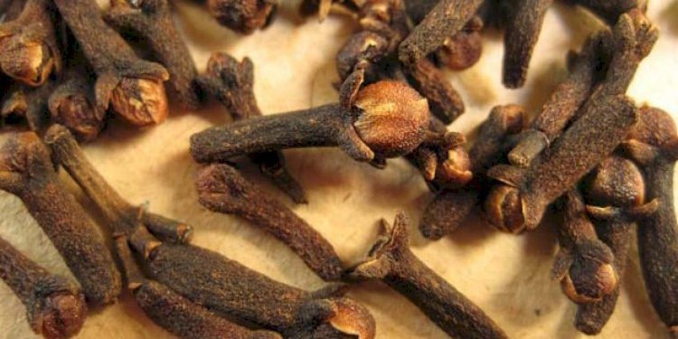 લવિંગના લાભાલાભ તેનો ઉપયોગ રાખે શરીર નિરોગી. .