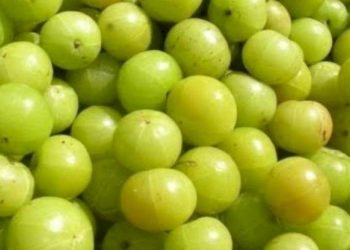 ગુણકારી આમળાના આ ફાયદાઓ વિષે તમારે છે જાણવા જેવું…