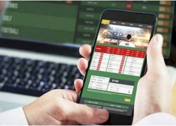 ઓનલાઈન ક્રિકેટ ગેમિંગ, સટ્ટાબાજી-જૂગાર ગણાય કે નહીં ?! 