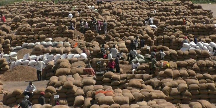 જામનગર યાર્ડમા ખેડૂત ના આવ્યા ટેકાના ભાવે મગફળી વેચવા શા માટે વાંચો