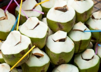 નારિયેળ પાણી પીવો છો, પણ તેના આટલા ફાયદાઓ વિષે જાણો છો ખરા.?