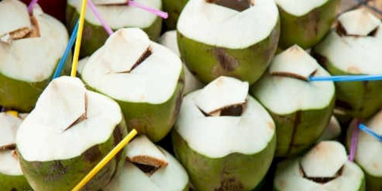 નારિયેળ પાણી પીવો છો, પણ તેના આટલા ફાયદાઓ વિષે જાણો છો ખરા.?