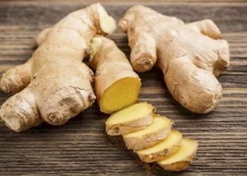 આદુનો ઉપયોગ કરો છો પણ આટલા બધા ફાયદાઓ વિષે જાણો છો.?