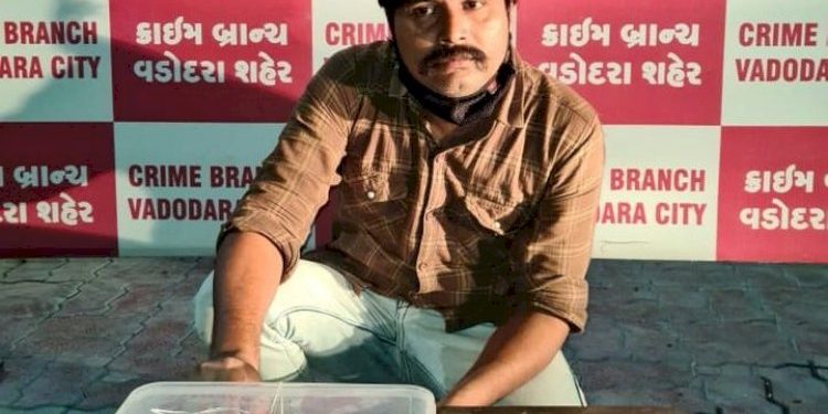 રસોડામાં ચોખાના ડબ્બામાં છુપાવવામાં આવ્યા હતા તમંચો અને કારતુસ