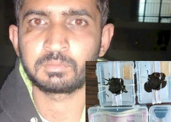 પ્રેમી સાથે લીવઇનમાં રહેવા માંગતી પ્રેમિકાએ બહારગામ જતા સમયે ઘરમાં ચોરી કરવા ચાવી આપી દીધી