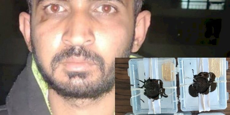 પ્રેમી સાથે લીવઇનમાં રહેવા માંગતી પ્રેમિકાએ બહારગામ જતા સમયે ઘરમાં ચોરી કરવા ચાવી આપી દીધી