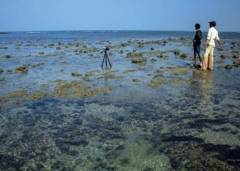 રાજ્યમાં બેટ દ્વારિકા પિરોટન, શિયાળ બેટ ટાપુને પ્રવાસન-પર્યટન હોટસ્પોટ તરીકે વિકસાવાશે: મુખ્યમંત્રી