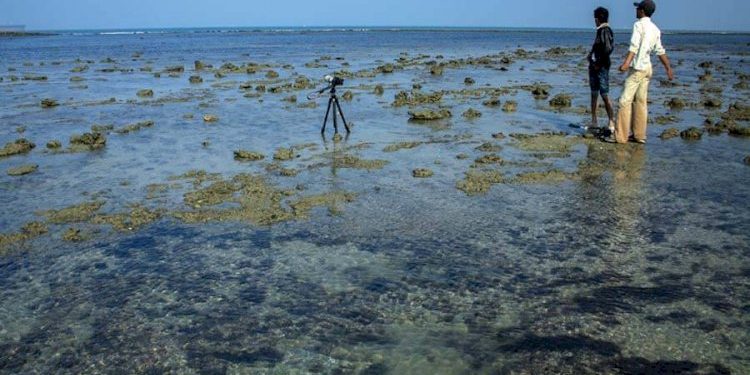 રાજ્યમાં બેટ દ્વારિકા પિરોટન, શિયાળ બેટ ટાપુને પ્રવાસન-પર્યટન હોટસ્પોટ તરીકે વિકસાવાશે: મુખ્યમંત્રી