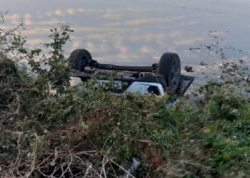 કુતરું કાર આડે ઉતરતા કાર તળાવમાં ખાબકી, 3 ના મોત