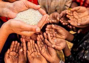 મકર સંક્રાંતિ, પુણ્યકાળ દરમિયાન શું કરવું.? આ દિવસે ક્યા ક્યા નિયમોનું કરવું જોઈએ પાલન વાંચો 