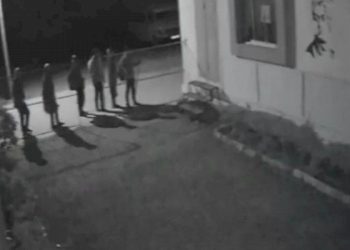 ચોરી કરવા સ્કુલમાં ઘુસેલા 6 તસ્કરોની મહેનત માથે પડી કેમ જાણો..