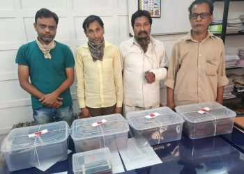 અઢી કરોડમાં વાઘની ખાલ વેચવા નીકળેલા 4 શખ્સ ઝડપાયા