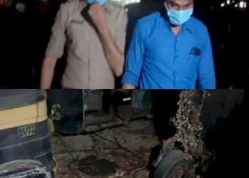 પોલીસ સ્ટેશન કેમ્પસમાંથી મળ્યું માનવ કંકાલ