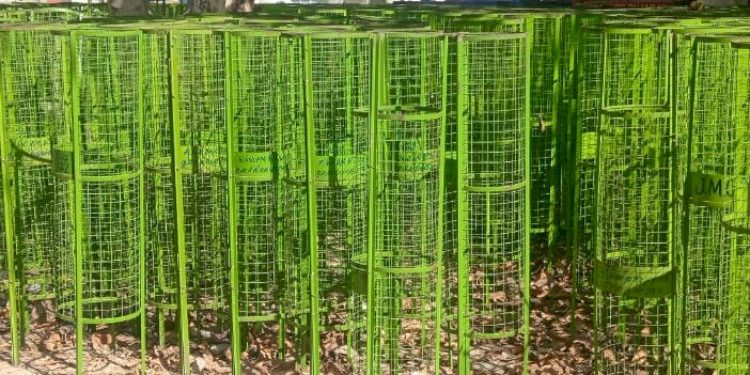 JMC ના સભ્યદીઠ 10 અને પદાધિકારીને 25 ટ્રીગાર્ડ, વોટર ટેન્કર વડે પાણી પીવડાવવાનો લાખોનો ખર્ચ પણ કામગીરી.?