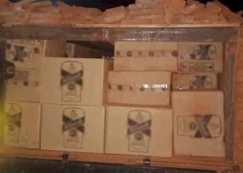 ઈંટોની આડમાં છુપાવવામાં આવેલ હતો દારૂનો જથ્થો