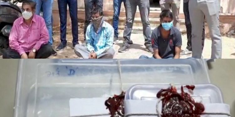 રાજ્યના જુદા -જુદા જીલ્લાઓમાં ઘરફોડચોરીને અંજામ આપતી ગેંગના 3 સાગરીત ઝડપાયા