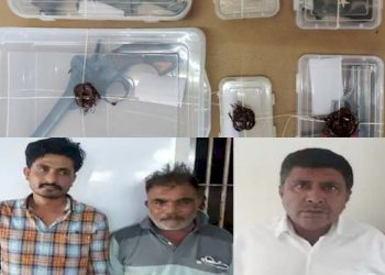 મધ્યપ્રદેશથી હથિયારો લાવી ગુજરાતમાં…