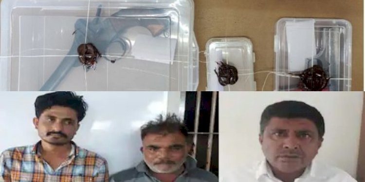 મધ્યપ્રદેશથી હથિયારો લાવી ગુજરાતમાં…