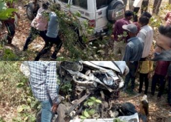 કારચાલકે ગુમાવી દીધો કાબુ, કાર અથડાઈ ઝાડ સાથે અને 3 ના થયા મોત