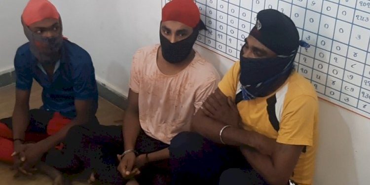 34 જેટલા ગુન્હાઓને અંજામ આપનાર શીકલીકર ગેંગના 3 શખ્સોને દ્વારકા પોલીસે ઝડપી પાડ્યા
