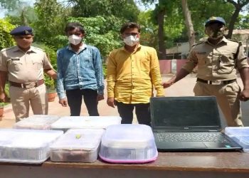 ઓનલાઇન વેબસાઈટના  માધ્યમથી બે શખ્સોએ મળી અને આ રીતે વેપારીઓ સાથે કરી છેતરપીંડી