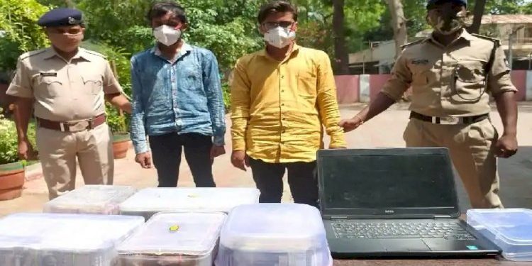 ઓનલાઇન વેબસાઈટના  માધ્યમથી બે શખ્સોએ મળી અને આ રીતે વેપારીઓ સાથે કરી છેતરપીંડી