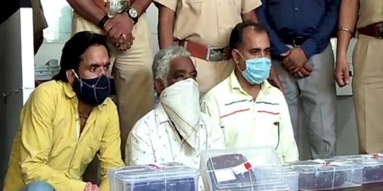 3 શખ્સો માછલીની એવી વસ્તું વેચવા નિકળ્યાં કે જેની કરોડોમાં કિંમત..