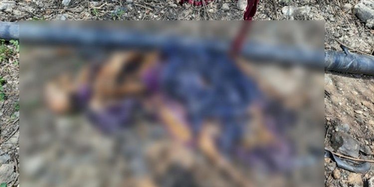 કાલાવડ નજીક મળી આવેલ માનવકંકાલ મામલે થયો મોટો ખુલાસો