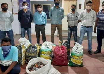 સ્મશાનની પાછળ ખાડો, ખાડામાં ડ્રમ અને ડ્રમની અંદર દારુ છુપાવનાર સુધી પોલીસ પહોચી