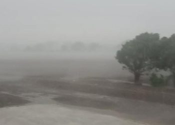 રાજ્યમાં હજુ કેટલા દિવસ રહેશે બદલાયેલું વાતાવરણ, કેવી છે માવઠાની આગાહી વાંચો 