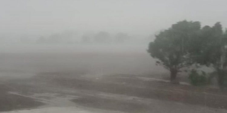 અસમંજસ, શિયાળો કે ચોમાસું.? આગામી 4 દિવસ વાતાવરણ બદલાયેલું રહેવાની સંભાવનાઓ 