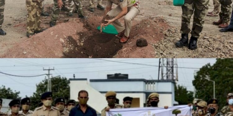 ખંભાળિયા:વાડીનાર મરીન પોલીસ લાઈન ખાતે સીતાફળ, જાંબુ, પીપળો, આમળા, જામફળ સહીતનું વૃક્ષારોપણ