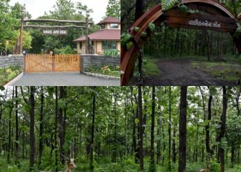 રાજ્યનું આ સ્થળ એટલે જાણે પ્રકૃતિનો ખોળો,  શું તમે અહી ગયા છો ખરા.?