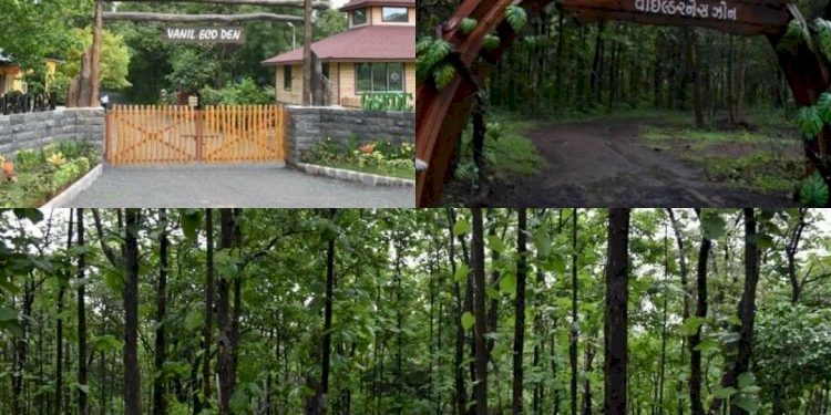 રાજ્યનું આ સ્થળ એટલે જાણે પ્રકૃતિનો ખોળો,  શું તમે અહી ગયા છો ખરા.?