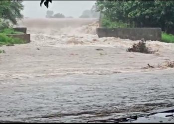 ભારે વરસાદની આગાહી સાથે શું કહ્યું હવામાન વિભાગે…