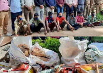 ચંદનચોર ગેંગ ઝડપાઈ, 21 ગુન્હાનો ભેદ ઉકેલાયો અને લાખોનું ચંદન પોલિસને હાથ લાગ્યું