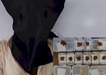 પીડા દુર કરવાને નામે પાણી પીવડાવી મહિલા પાસેથી લાખોના દાગીના લઇ જનાર શખ્સ પોલીસના હાથમાં આવ્યો