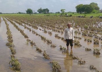 …તો ખેડૂતોની દિવાળી સુધરી ગઈ સમજો..આવતીકાલે સરકાર જાહેર કરી શકે છે રાહત પેકેજ 