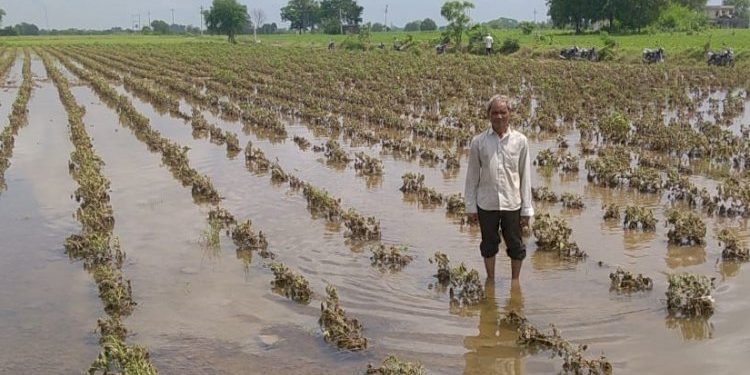…તો ખેડૂતોની દિવાળી સુધરી ગઈ સમજો..આવતીકાલે સરકાર જાહેર કરી શકે છે રાહત પેકેજ