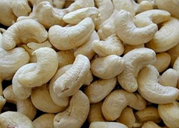 કાજુ ખાઈ રહ્યો છો, પણ આ ફાયદાઓ વિશે પણ આજે જાણી જ લો..