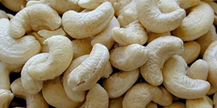 કાજુ ખાઈ રહ્યો છો, પણ આ ફાયદાઓ વિશે પણ આજે જાણી જ લો..