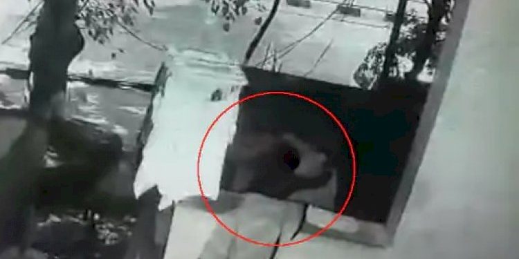 જવેલર્સની દુકાનમાંથી AC ચોરીને નીકળી રહ્યો હતો શખ્સ પણ નસીબ એવા ખરાબ કે મોત મળ્યું…